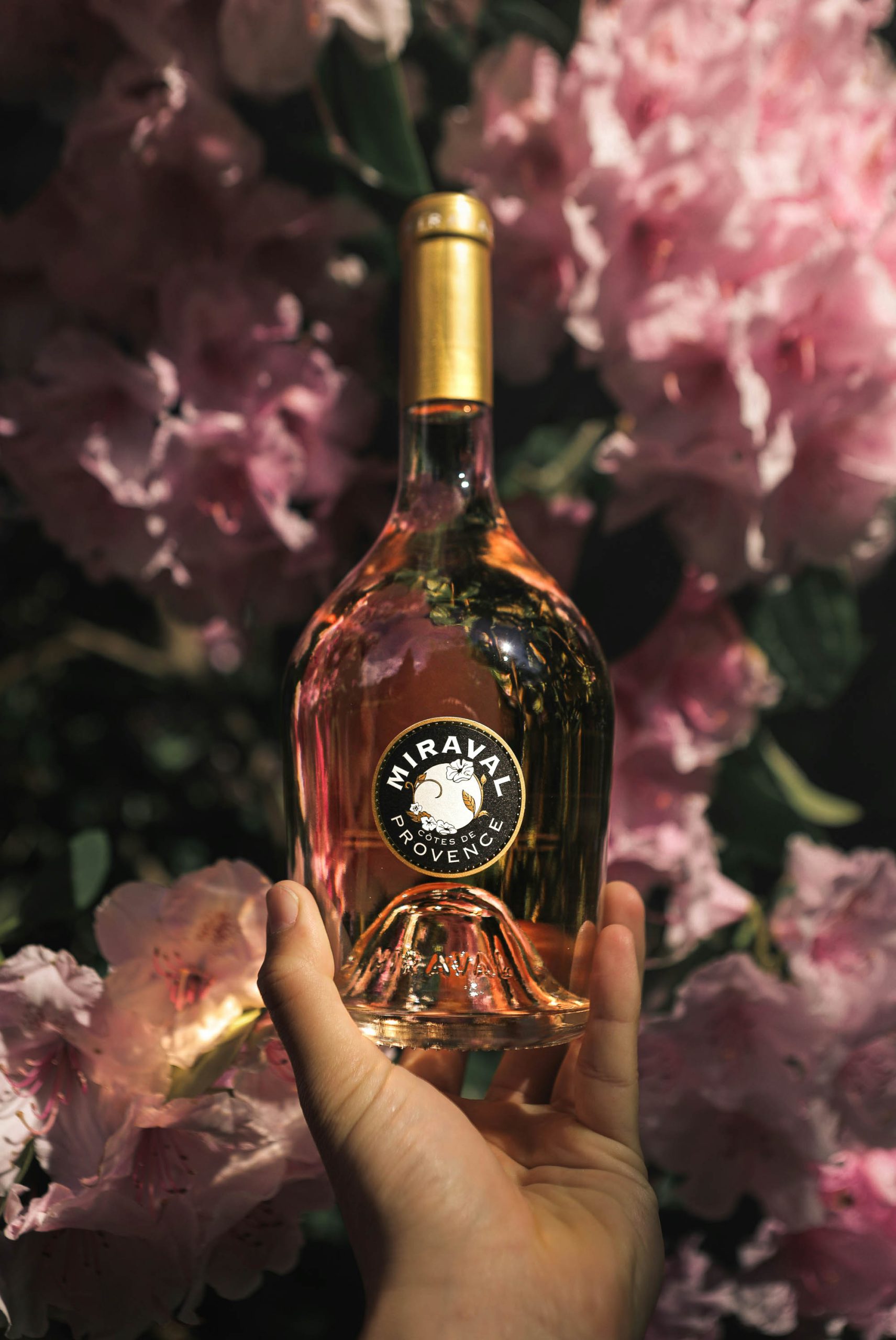 ipicurien bouteilles bons roses cadeau a offrir
